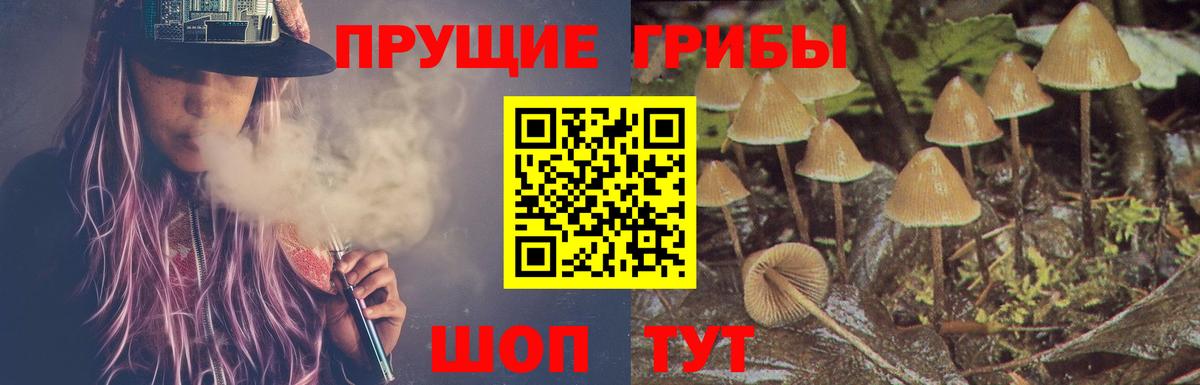 Нерюнгри  Псилоцибиновые грибы Psilocybine cubensis  Вход с VPN 
